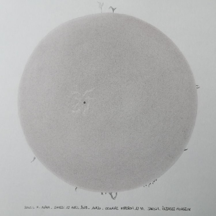 SOLEIL LB 14 AVRIL 2019 - TACHE SOLAIRE - PROTUBERANCES.jpg