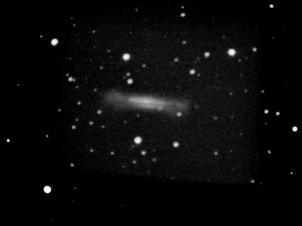NGC3628.thumb.jpg.fa846fb215474abc86ea82ab85af5124.jpg