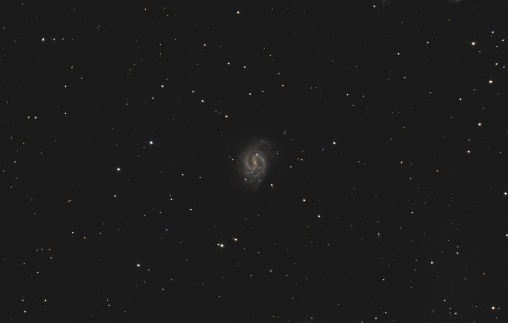 1367326740_NGC4535cropWA.thumb.jpg.d1958f20bc8e643086326a03a9476110.jpg