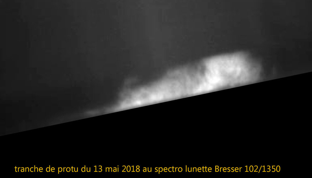 tranche de protu.jpg