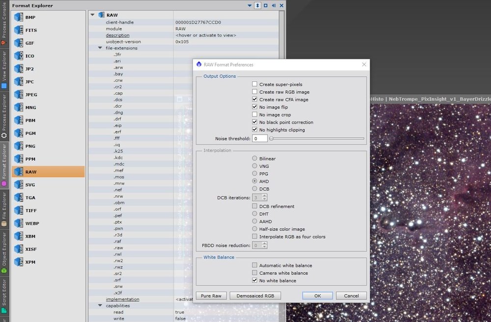 RAW Format Prefs.JPG