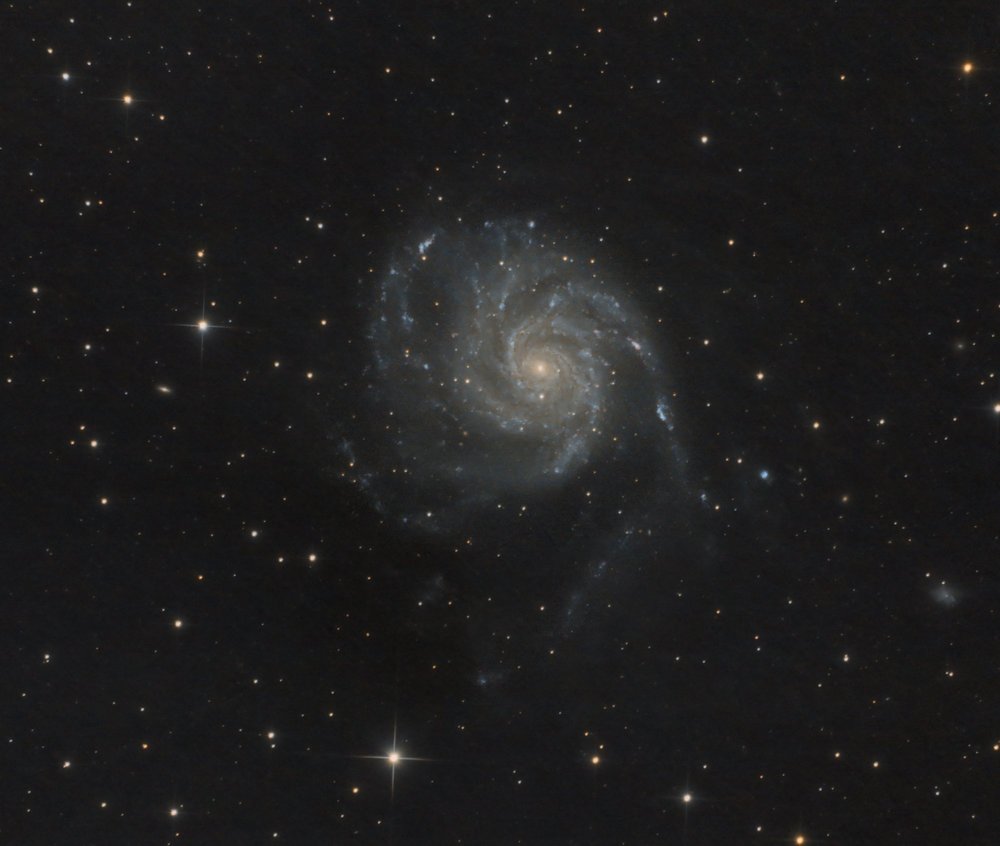 m101_v1_crop.thumb.jpg.38d932535527c1fd3b7bdf78b2ba7ff6.jpg