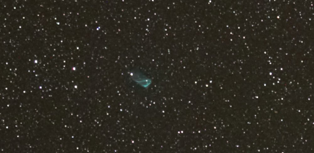 zoom d'une brute.jpg