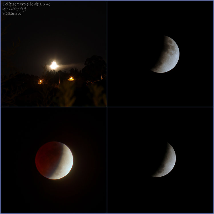 Eclipse_Lune_16_07_19.thumb.jpg.a719f3d60169e81115b540d48510f5e9.jpg