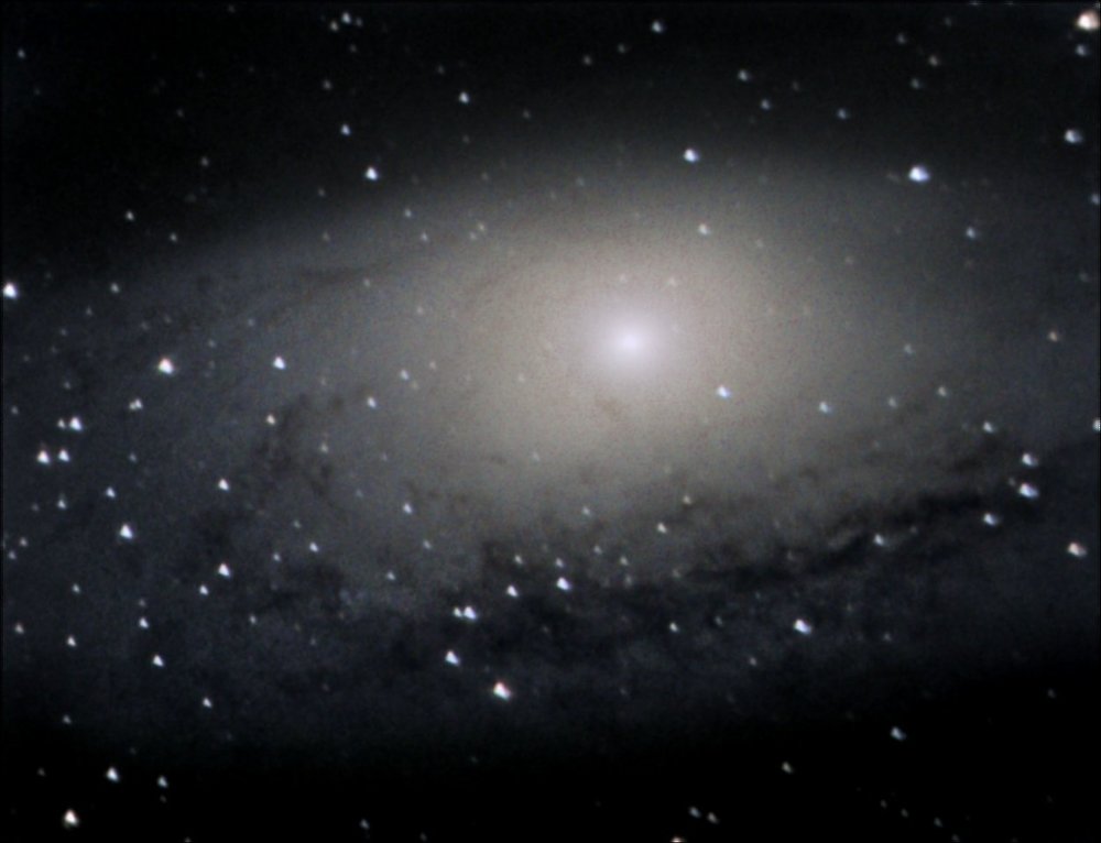 m31.thumb.jpg.cdd837954f271064de2efbf23507e97c.jpg