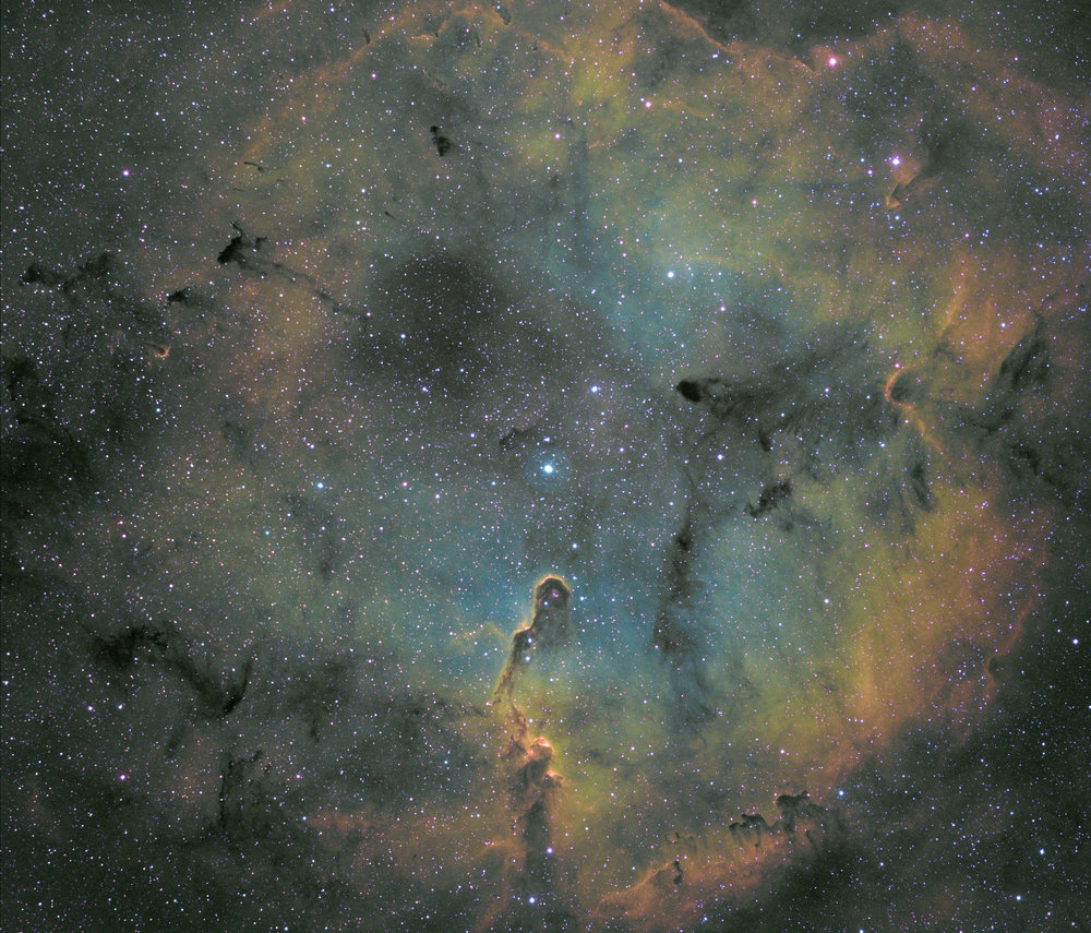 HSHO  Trunk V1 Peg2.jpg