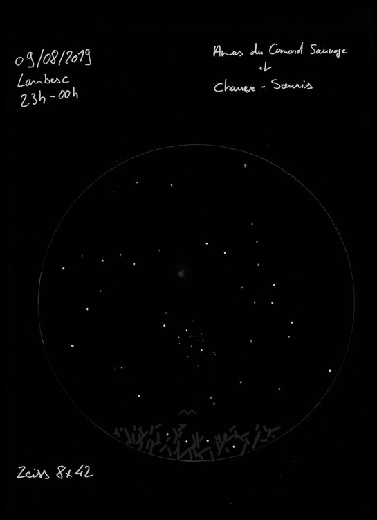 1364951176_Astrodessin-AmasCanard.thumb.jpeg.4e21a0134a84fc7a020d9fc08af95306.jpeg