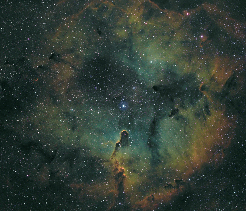 HSHO  Trunk V1 Jpeg.jpg