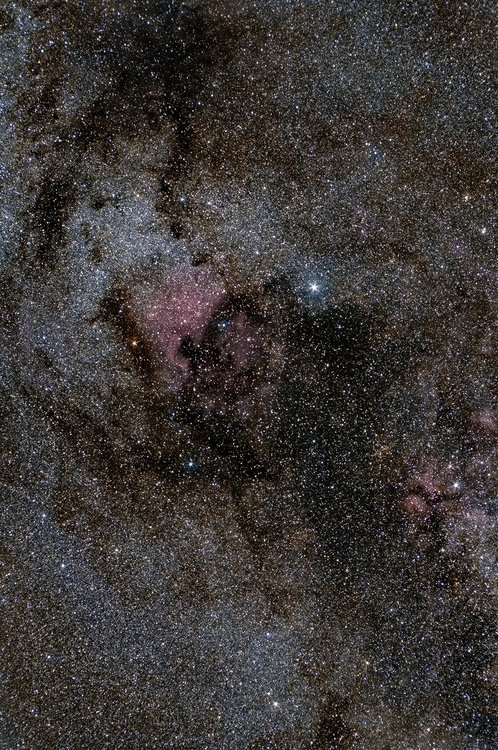 2019-08-04_NGC7000_medium.thumb.jpg.410e06e52dccc51a8968ad2a4db2de27.jpg