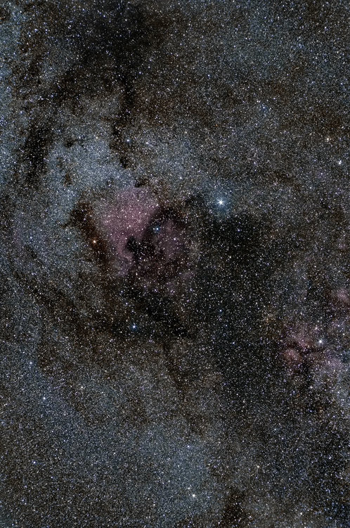 2019-08-04_NGC7000_medium.thumb.jpg.5c7f3910373304c769b8b0fde391ec80.jpg