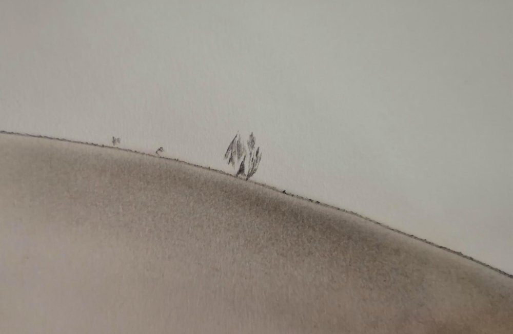 PROTU DETAIL 25 AOUT 2019 -.jpg