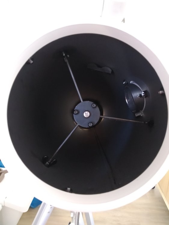 Araignée_vue de dessus.jpg