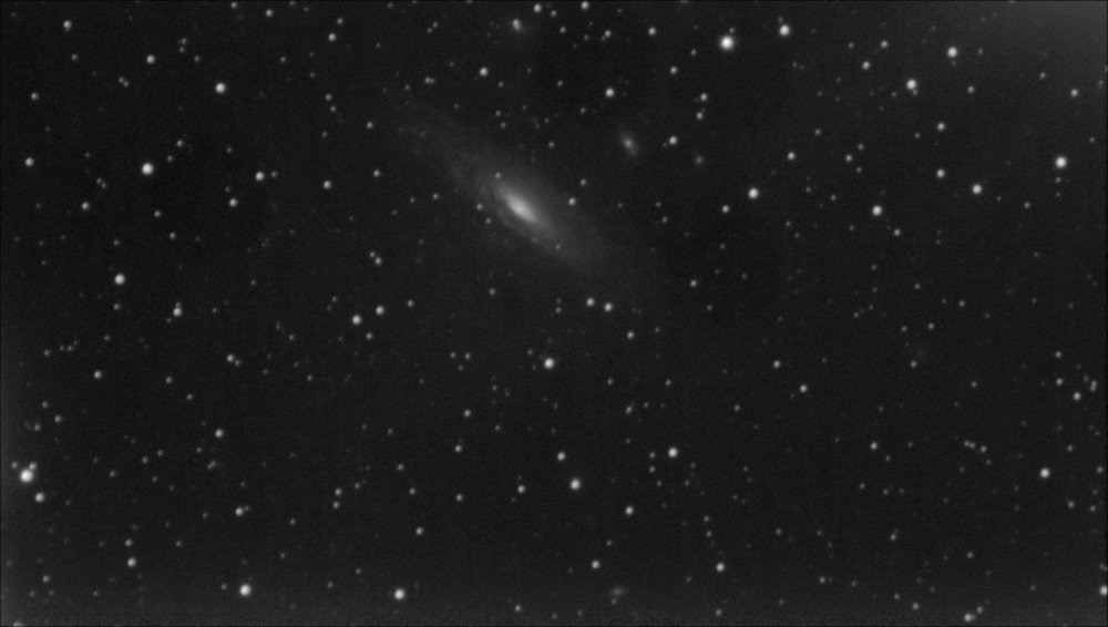 NGC7331bis.jpg