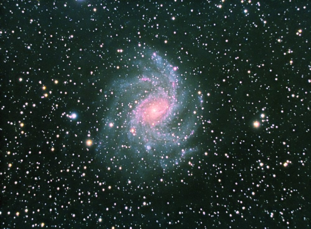 NGC_6946 30x300'' (2.5h) bin 1.jpg