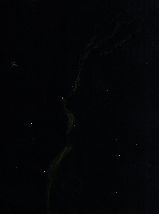 DENTELLES - 3 SEPTEMBRE 2019.jpg