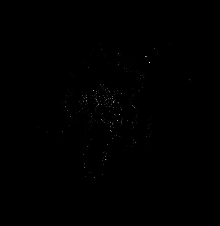 M11 - 3 SEPTEMBRE 2019.jpg