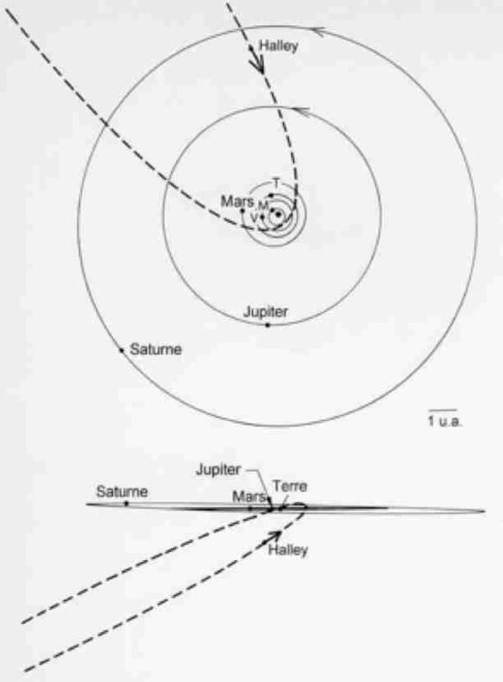 halley.jpg