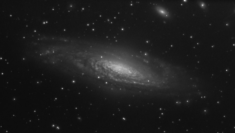 1007501077_ngc7331nb2019dernierb.thumb.jpg.b53abd29065277dca4444102e2fc79e9.jpg