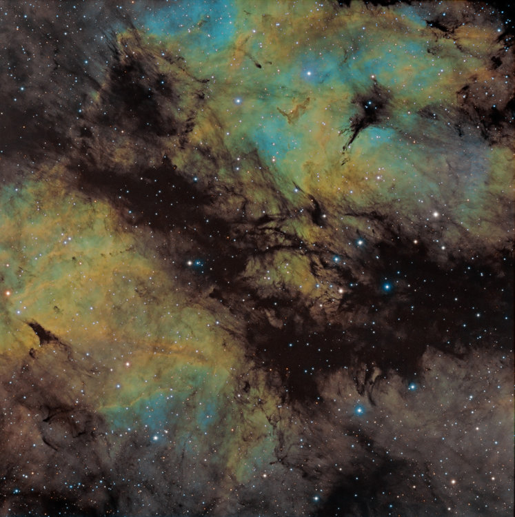 IC1318_SHO_14030200_ssmagenta_ABE_mskedStrch_crbs_PSv5_finale copie.jpg