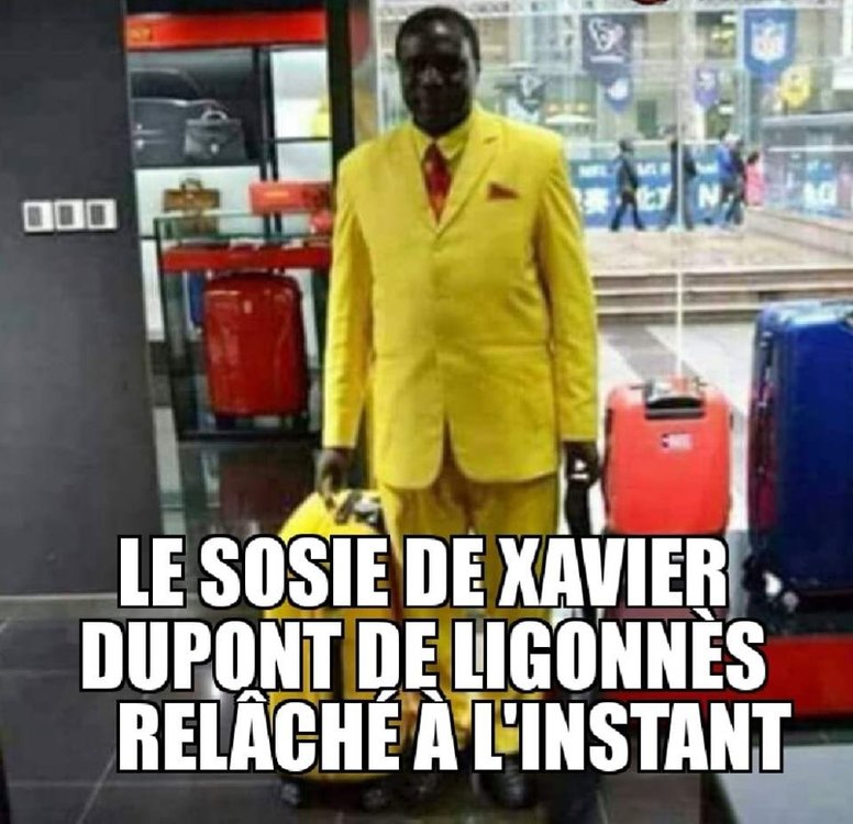 ligonnes.jpg