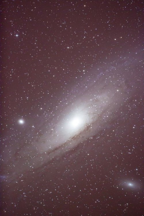 543060483_M31_M32_M110(Moyen).thumb.jpg.0c1be1c19eafbe0d99b6e57fc3e69e09.jpg