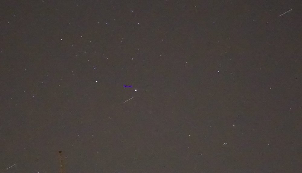 Resize of DSC02288.JPG