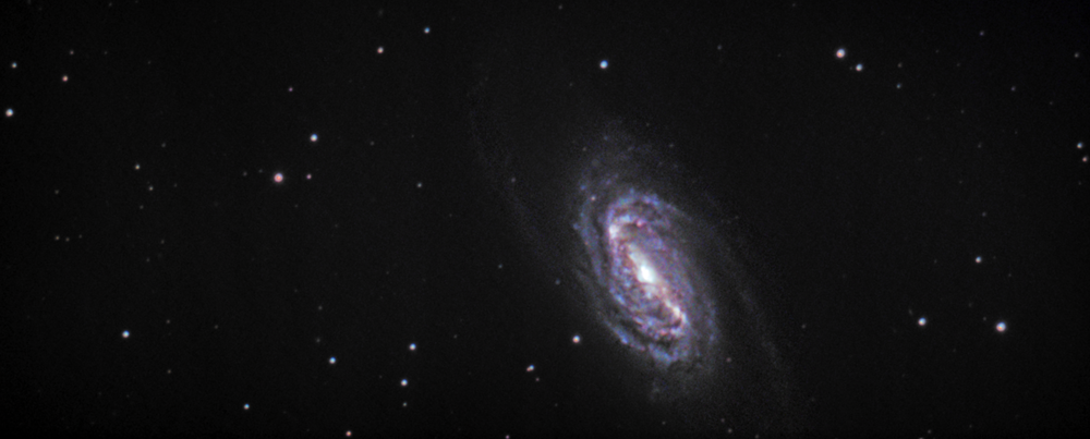 ngc 2903 astrobin.png