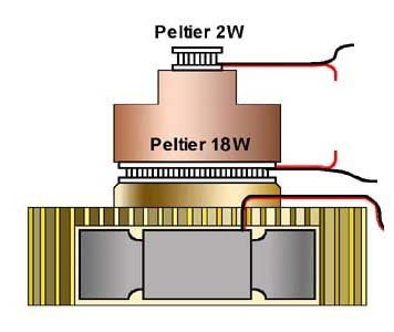 Kitty2_Peltiers.jpg.c2aa1d1a184446788b943d87469587d3.jpg