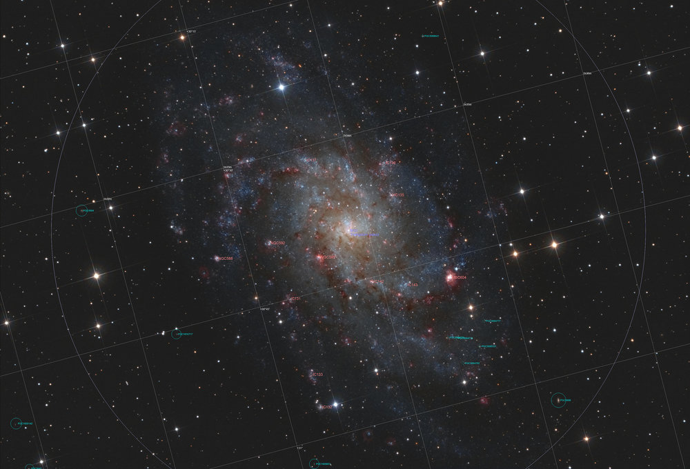 m33_lps-d2_astrom.thumb.jpg.78a223301556dd50a19b963d99ed5ac2.jpg