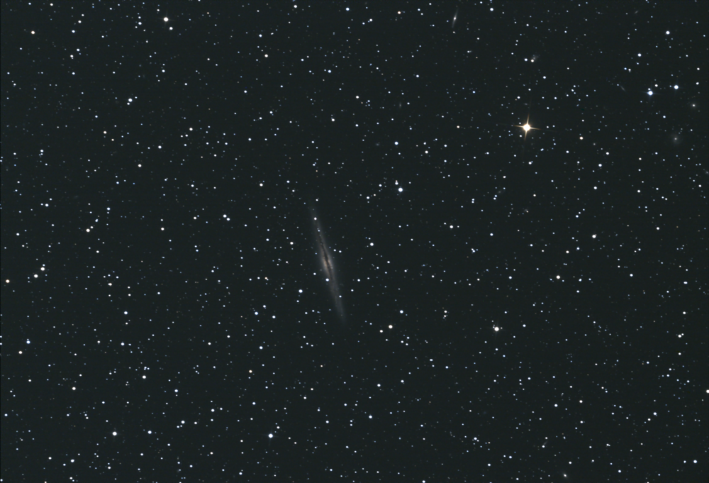 ngc_891.thumb.png.b003848d1823e28c026649959bd78adf.png