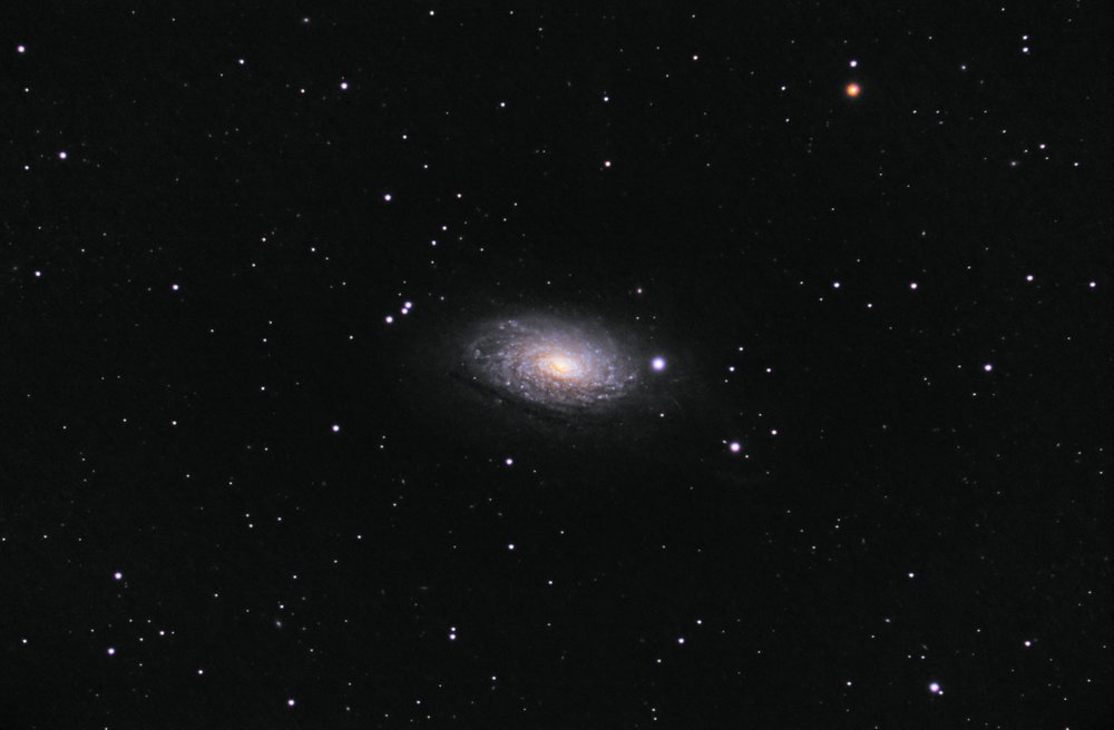 M63 170x30''.jpg