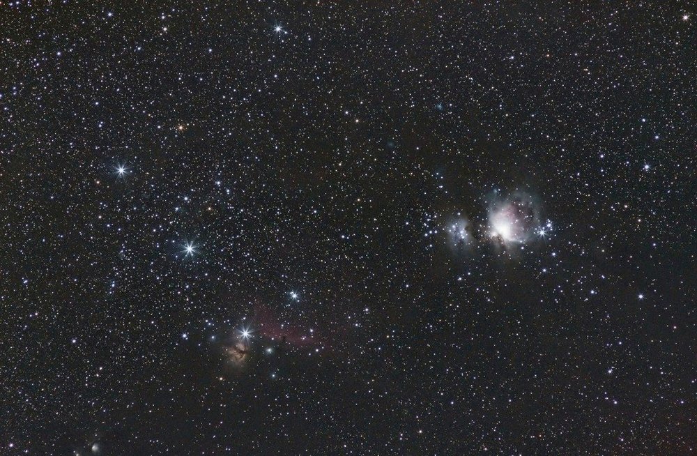 Grand champ réduit.jpg