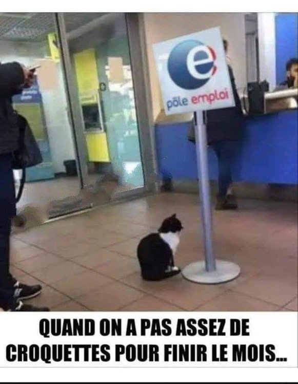pole emploi.jpg