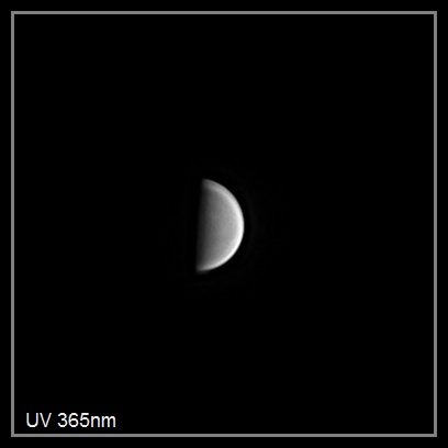 392556909_Ven_190932_210320_ZWOASI290MM_UV_365nm_AS_P15_lapl5_ap1.jpg.b342f06daff125ec040abfaf15789f22.jpg