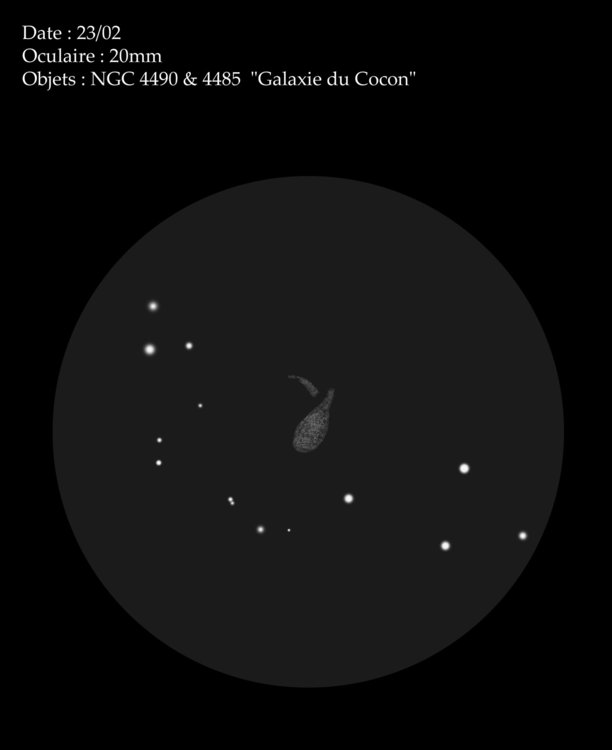 789203506_ngc4490GalaxieduCoconcopie.thumb.jpg.7f005c665a1c347f7e7ab60202742ddb.jpg
