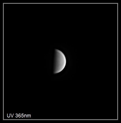 845037598_Ven_190415_210320_ZWOASI290MM_UV_365nm_AS_P10_lapl5_ap1.jpg.64c0fcc5be217b5260ca88b0082ee14a.jpg