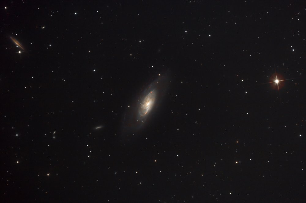 m106-gimp-denoise-reduit.jpg