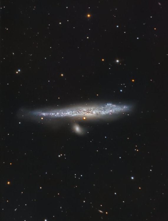 ngc4631_v2_j.thumb.jpg.d29bdc6e7dd22c12f7c44f44b5515c6f.jpg