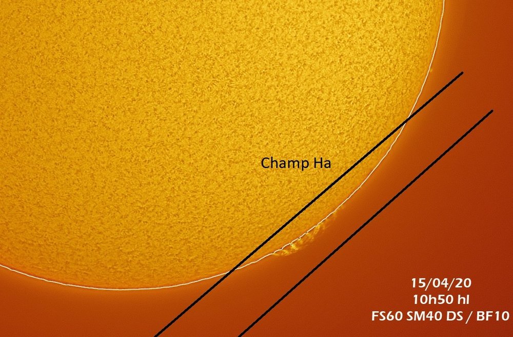 2020-04-15-0952_9-L-Sun-lun - Champ Ha.jpg