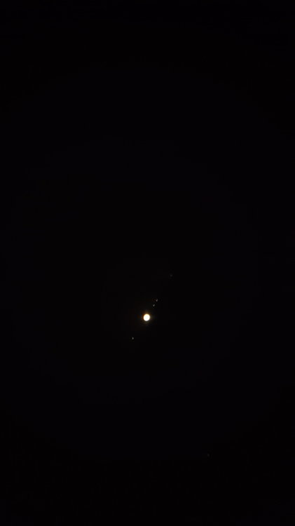 20200411_054144 J1.jpg