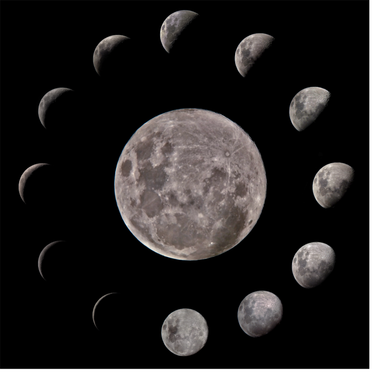 Mosaique ronde Finale2.png