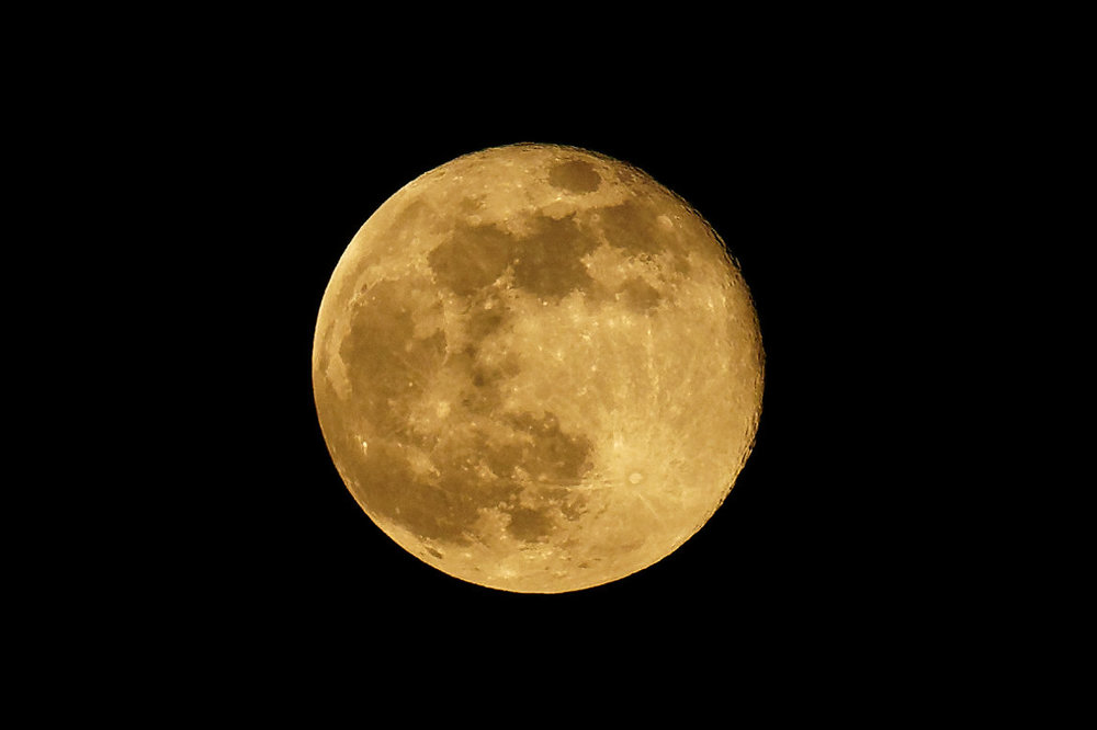 DSC05956_DxO Peg .jpg