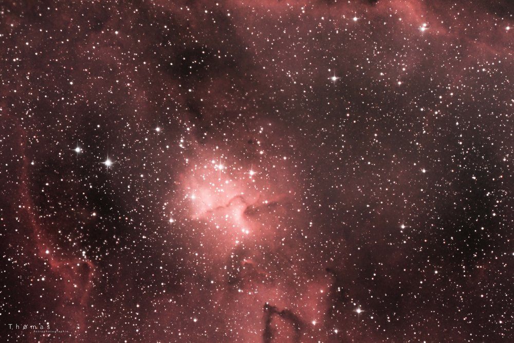 IC 1805-200424-2.jpg
