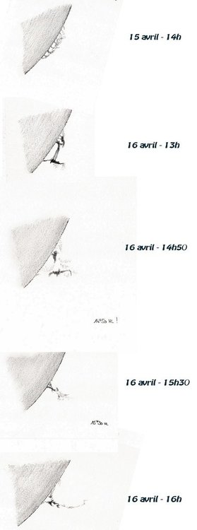 PROTU 15 ET 16 AVRIL 2020 --.jpg