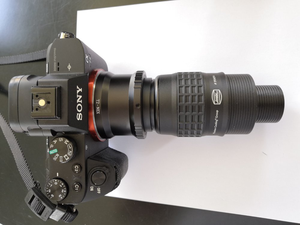 sans tube allonge.jpg