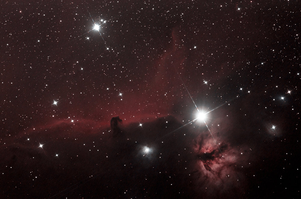 Addition horse head.jpg