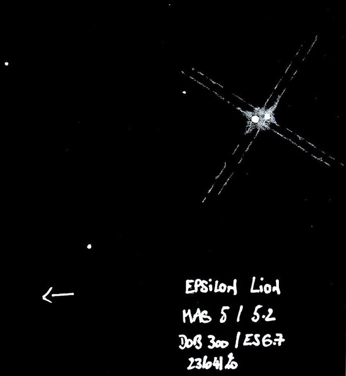 911096651_EPSILONLION.thumb.jpg.36717504f79936105e7933e05f6e601b.jpg