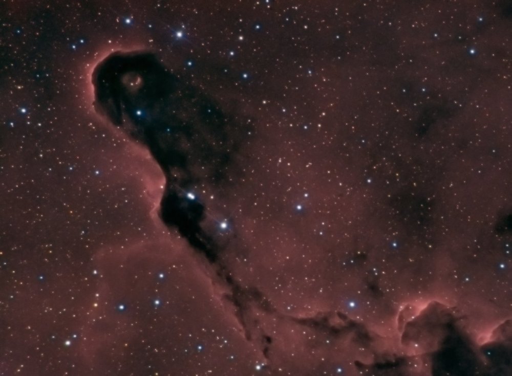 IC1396_v2_j.thumb.jpg.06e7f1f8f7a7c8dad2154acc2f4a143b.jpg