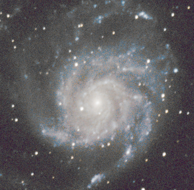 M101_03.thumb.jpg.92b38c538eca9d8409bda1047443e43c.jpg