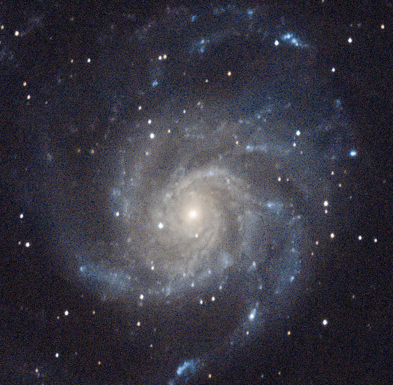 M101_auto_03.thumb.jpg.0d3f2eeface23d5895bdc652dff3332f.jpg